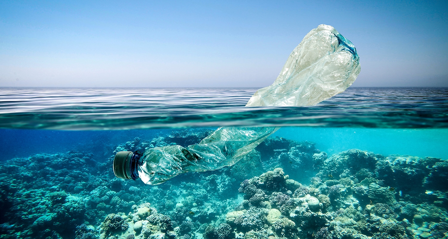 How Your Office Can Lead the Charge Against Single-Use Plastics