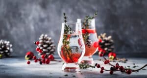 10 of the Best Sparkling Holiday Drink Recipes for Your SRL Club, Café & Restaurant (2023)